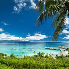 Sofitel Moorea Panoramic View