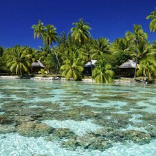 Vahine Island Coral Reef