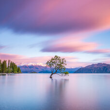 New Zealand