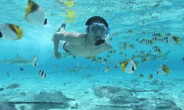 Swim amongst the black-tipped sharks, stingrays and a variety of colorful fish on this half day tour!