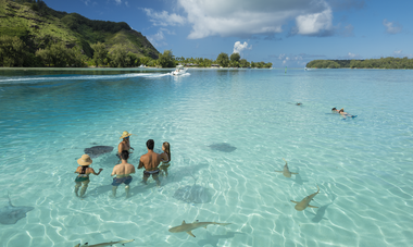 Lagoon Exploration on Moorea Lagoon Tour with Motu (islet) picnic is an iconic experience in the islands of Tahiti.