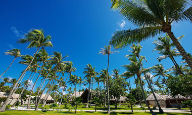 Coconut grove Reception area