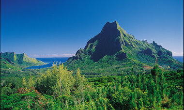 Moorea Island