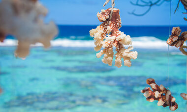 Maitai Lapita Huahine Lagoon of Huahine