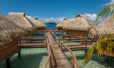 Maitai bora bora 