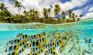 LE TAHAA by PEARL RESORTS-T LE TAHAA4