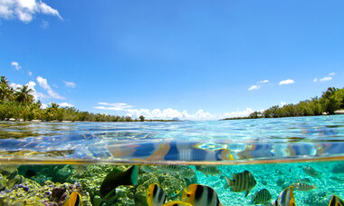 bora bora bora bora