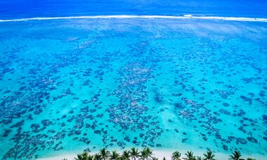 Rarotonga Reef