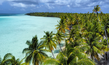 Les plages de Polynésie bordé de leurs palmiers
