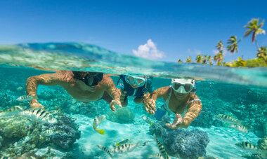 Snorkeling Couple Snorkeling Couple