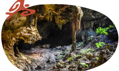 Cook Islands / Atiu - Anatakitaki Cave Tour Atiu - Anatakitaki Cave Tour