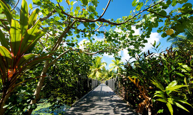 HUH Maitai - Bridge over lake