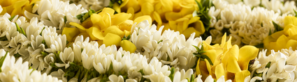 P2_RAIVAVAE_00190_RAIVAVAE_© Grégoire Le Bacon.png Welcome lei being readied for guest arrivals.