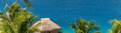 Maitai Bora maitai bora