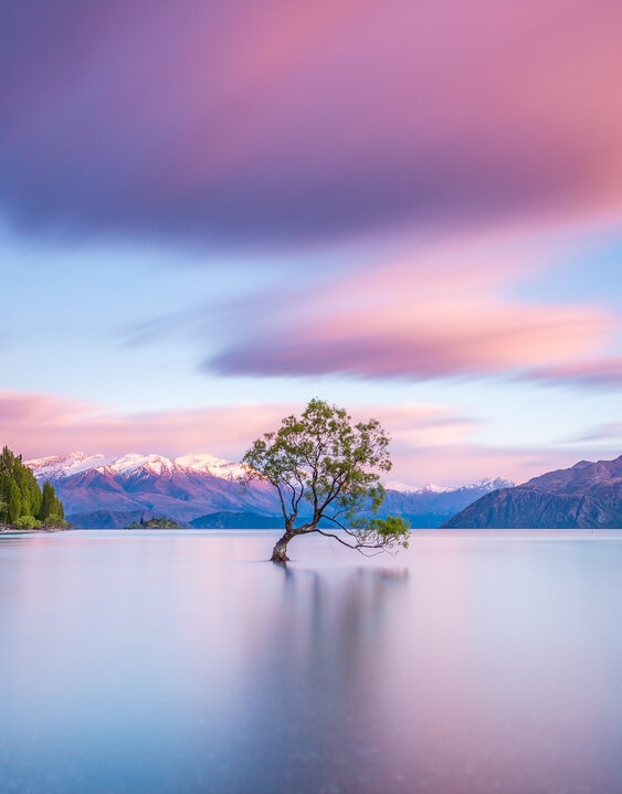 New Zealand