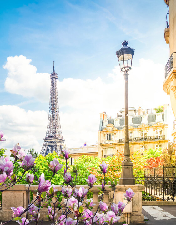 View of the Eiffel Tower from beautiful street