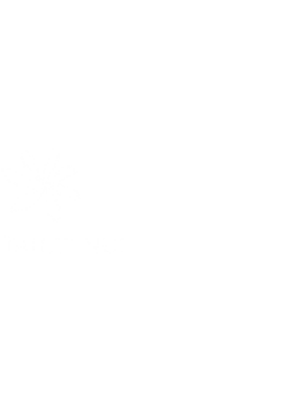 ATN x Windstar Logo White small