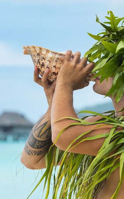 Tahiti; conch